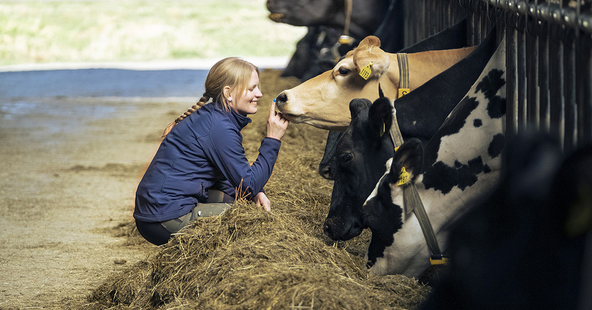 Tilbage til oversigten