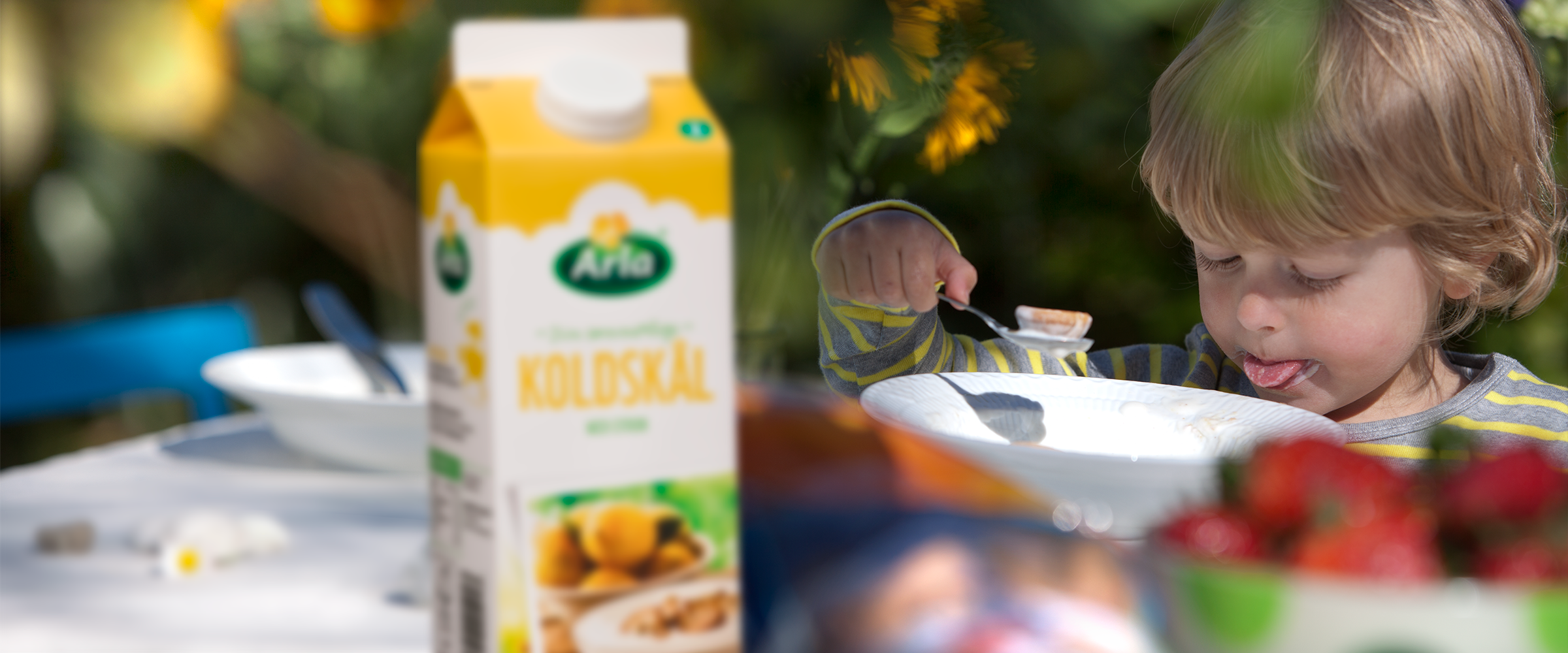 Arla koldskål