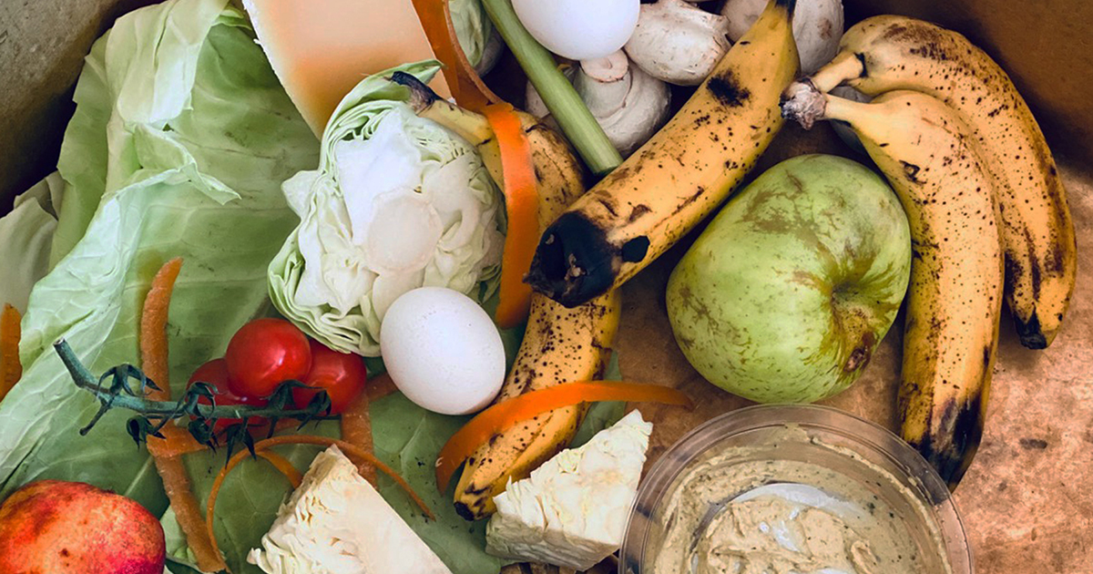 Tilbage til oversigten