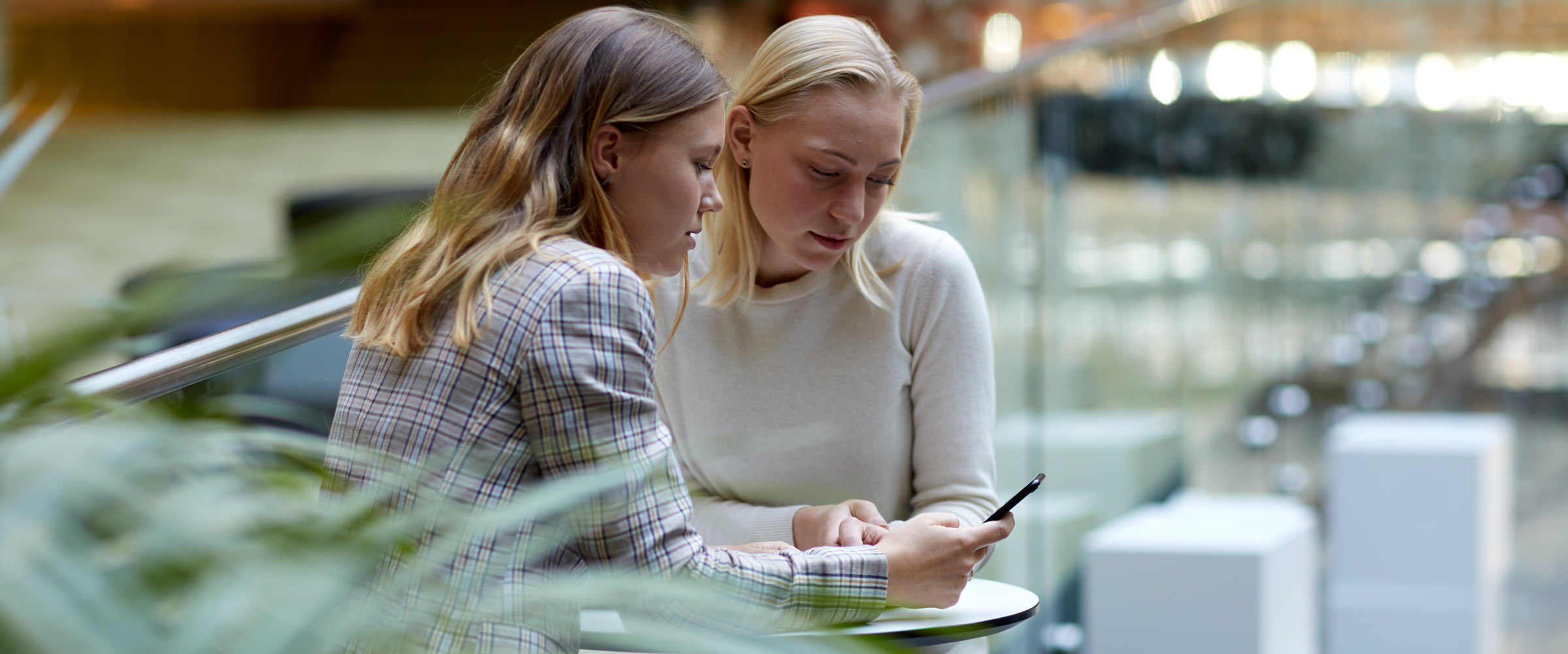 Skole- og studieopgaver
