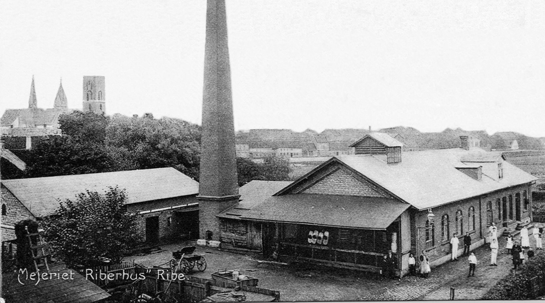 Historien om Riberhus®