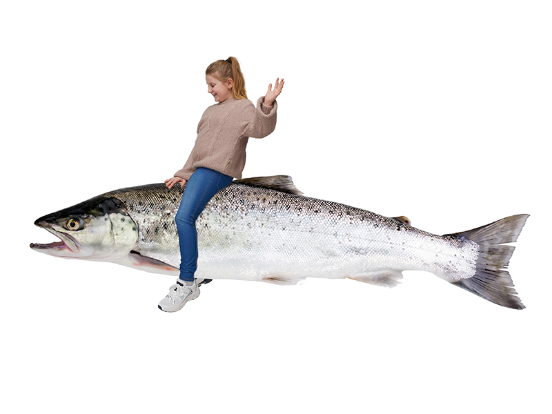 Lærervejledning mellemtrin