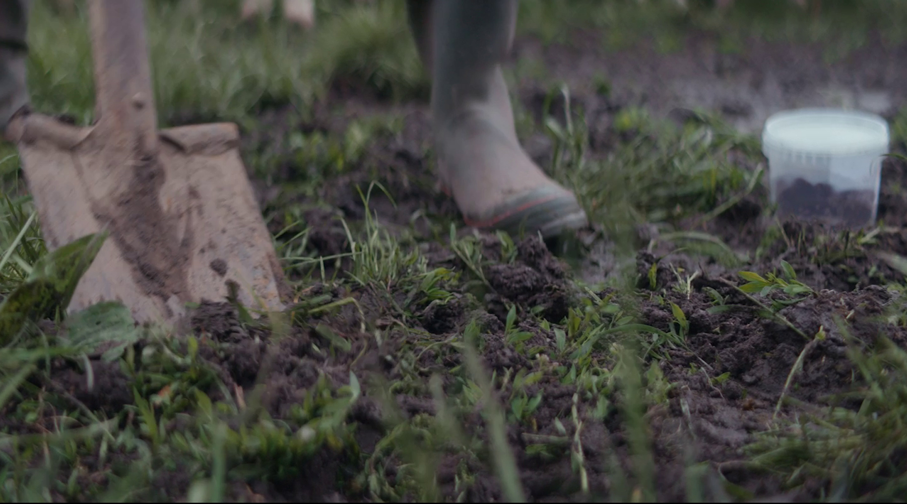 Vi har fået jord i hovedet