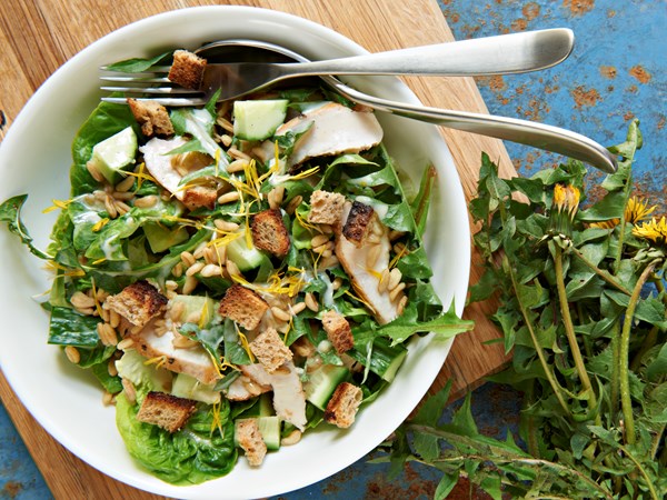 Kyllingesalat med mælkebøtte