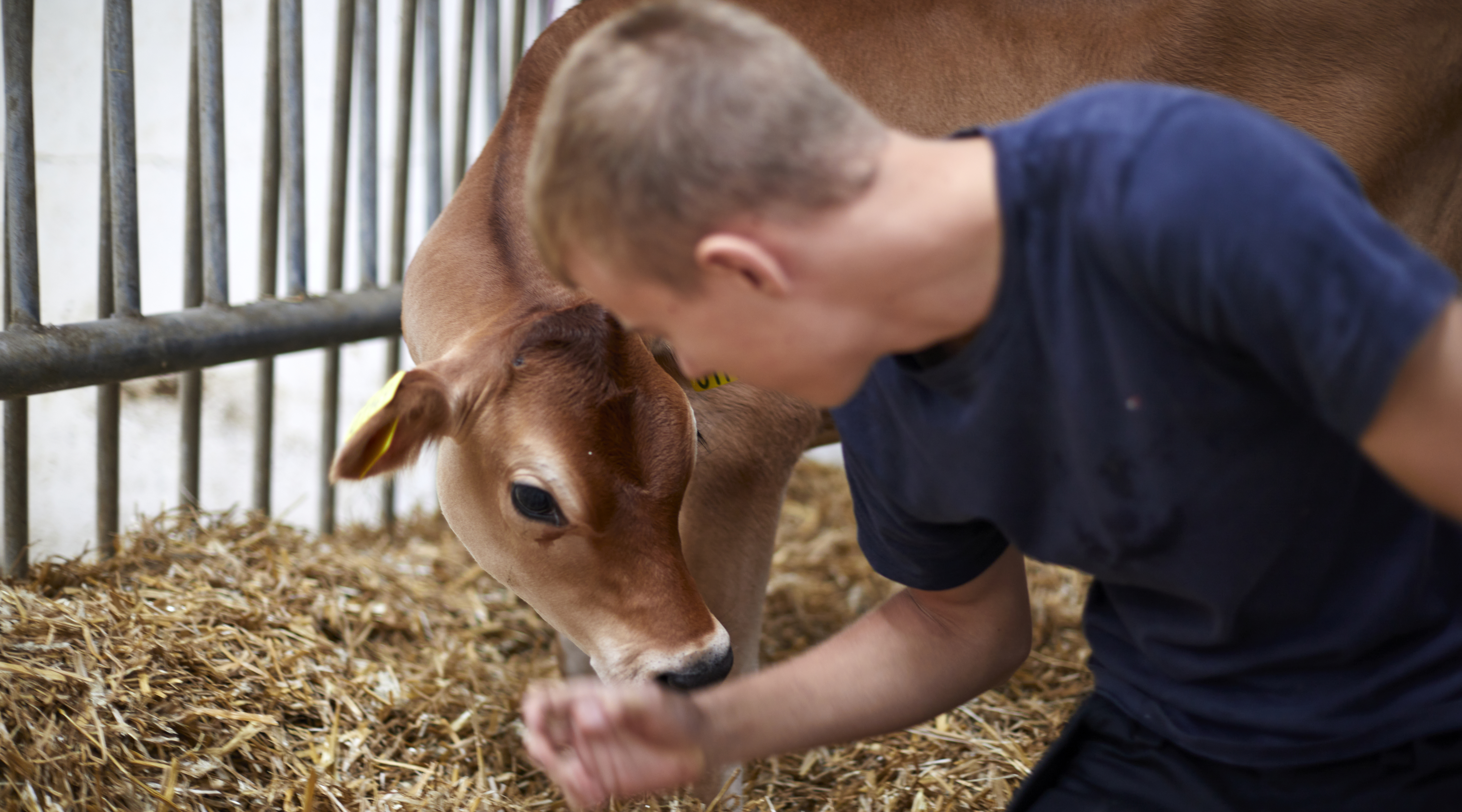 Vores landmænd ejer Arla