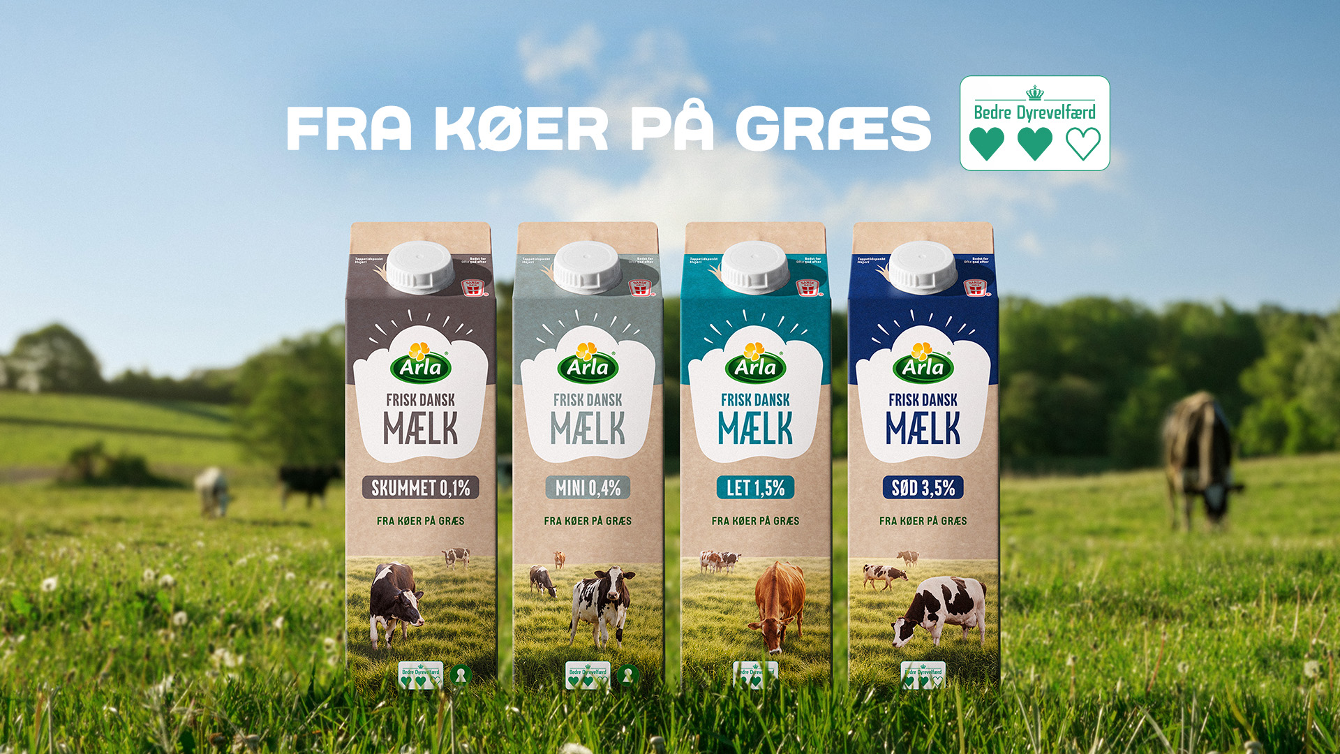 Arla® MÆLK - Fra køer på græs