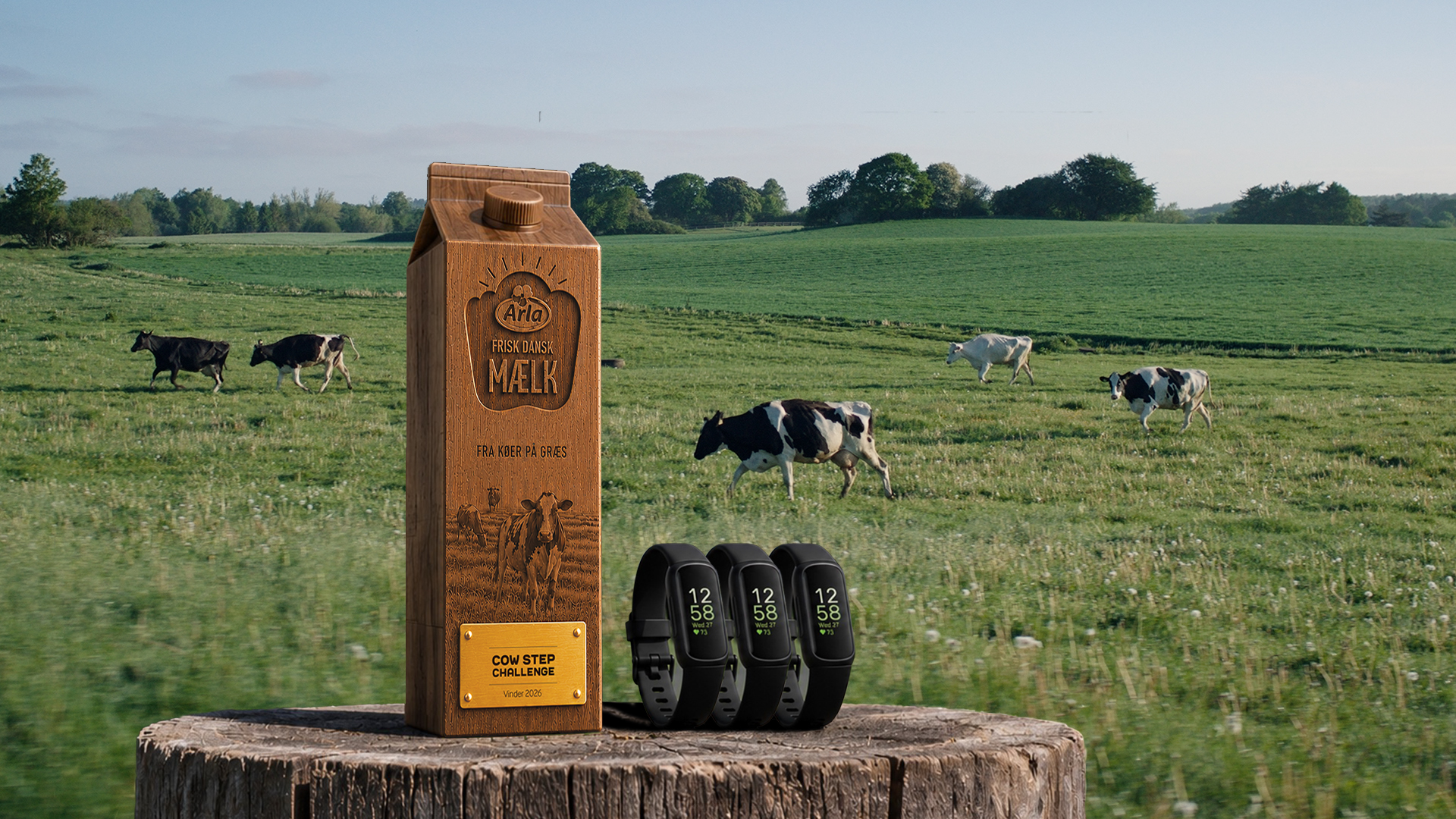 Cow Step Challenge