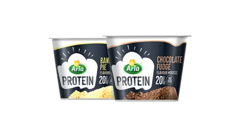 Protein mousse