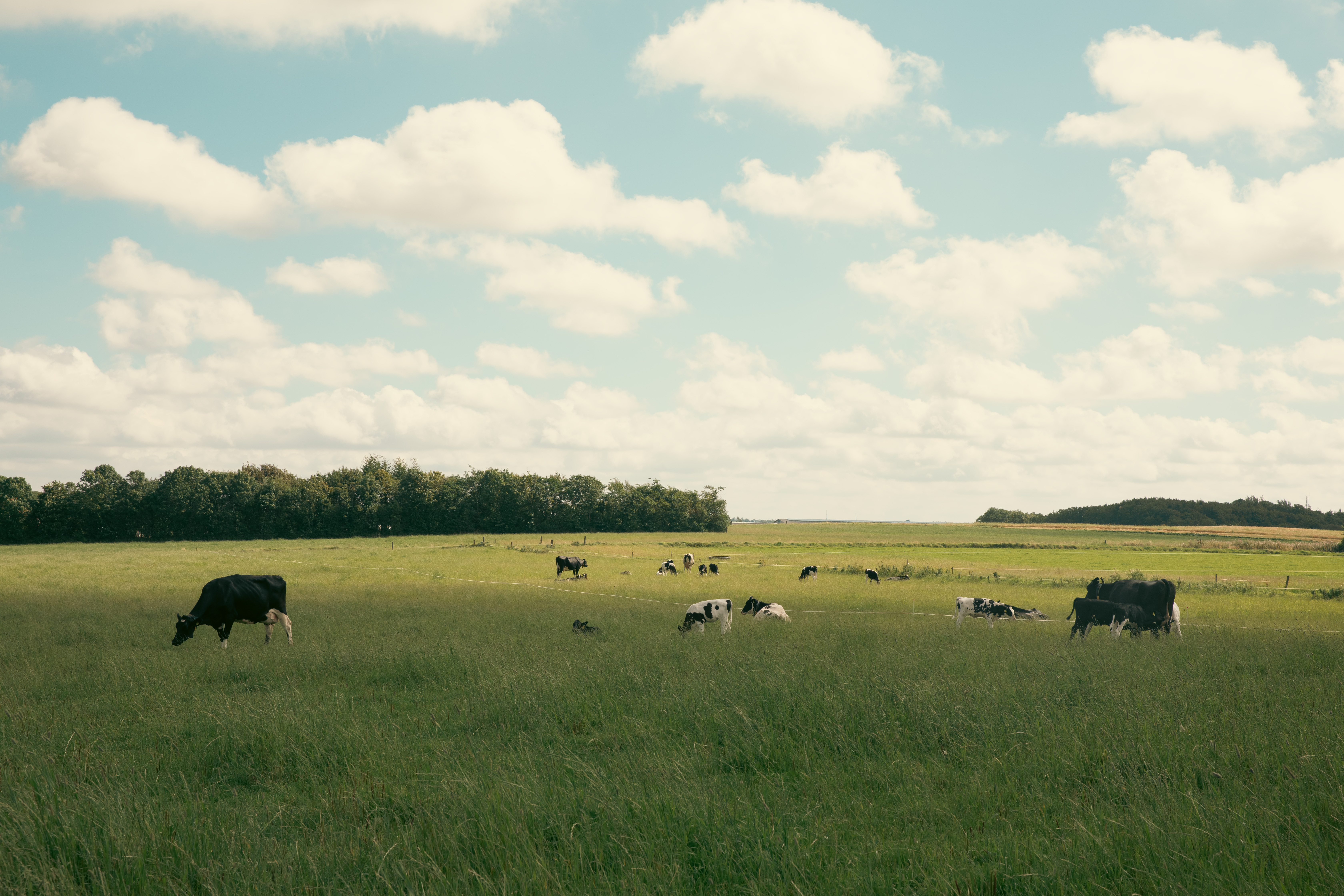 Tradition for fornyelse