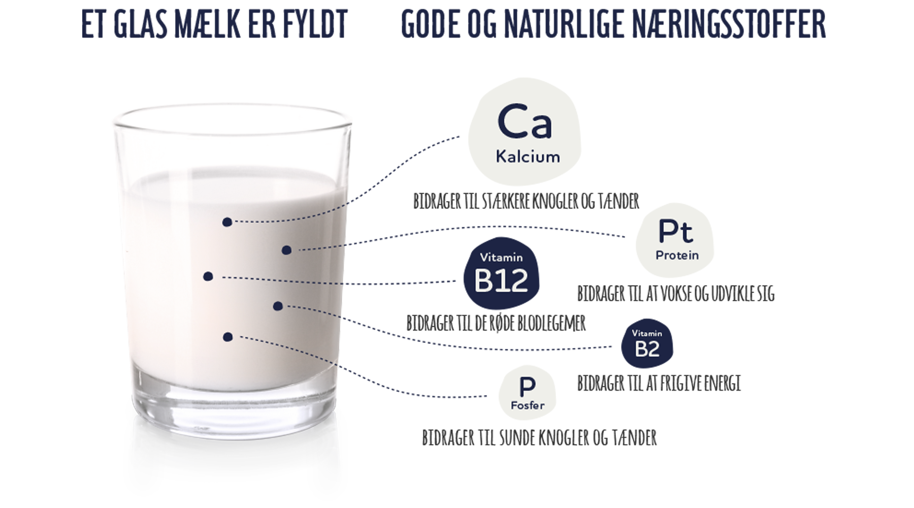 Vi passer på mælken