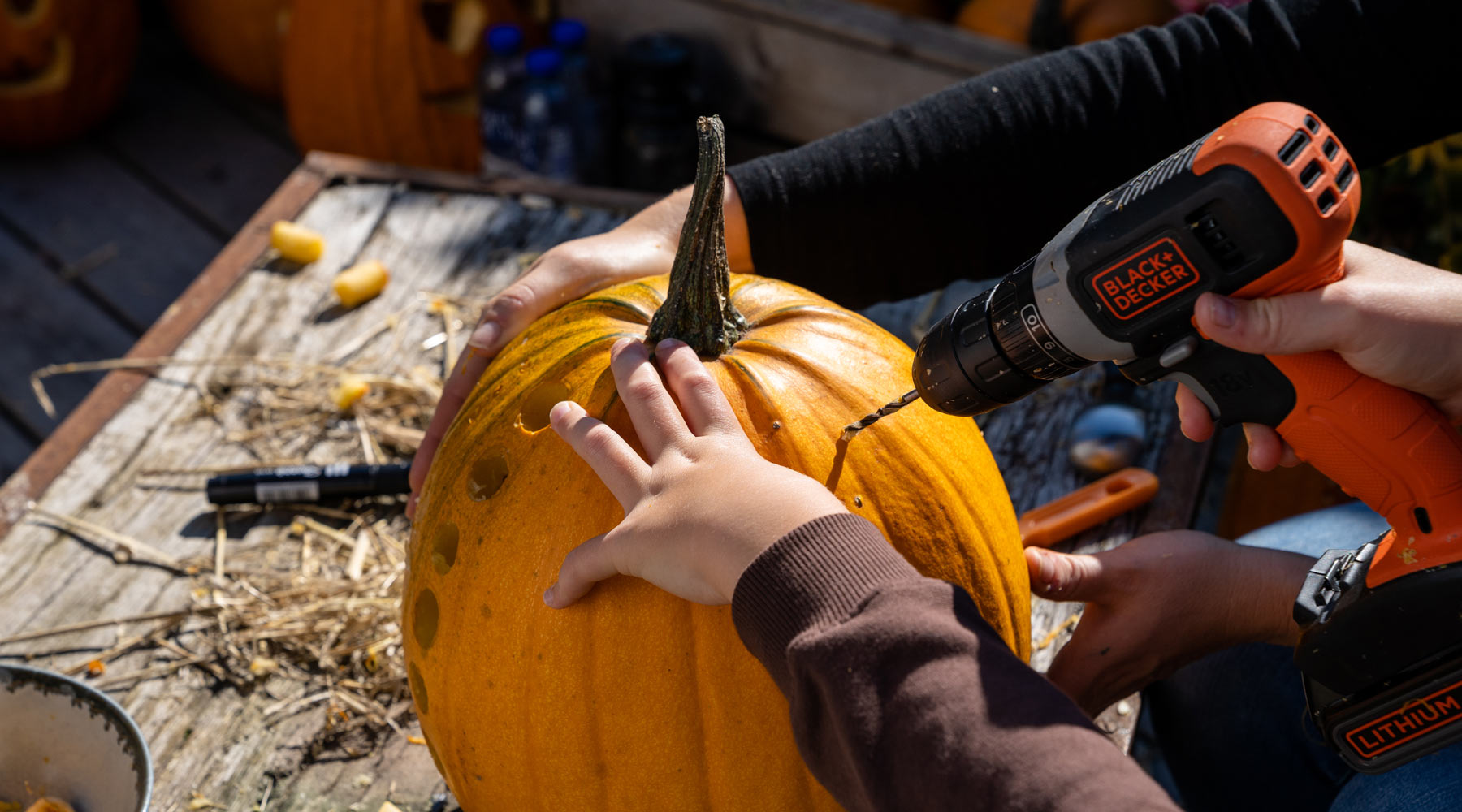 Udskæring af græskar | Arla® Madløjer