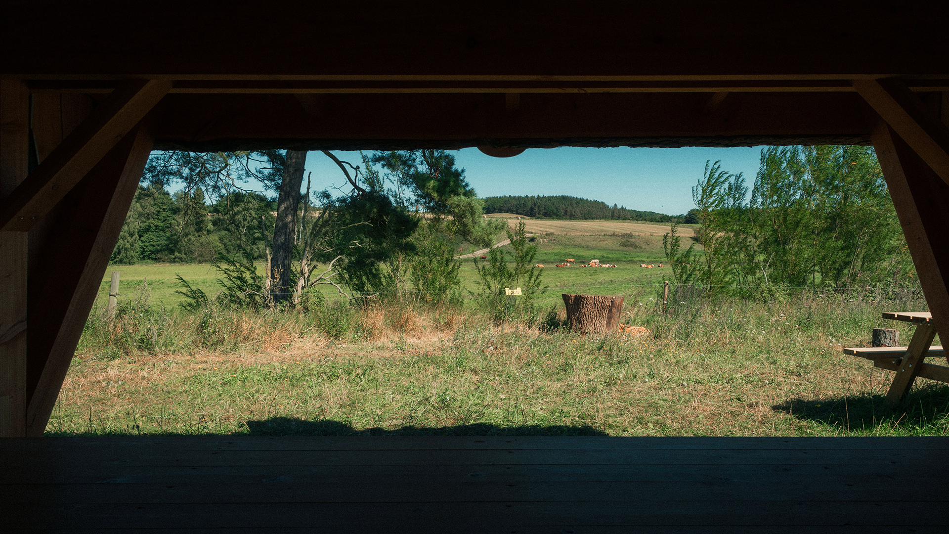 Udsigt fra shelteret på Krogsagergård