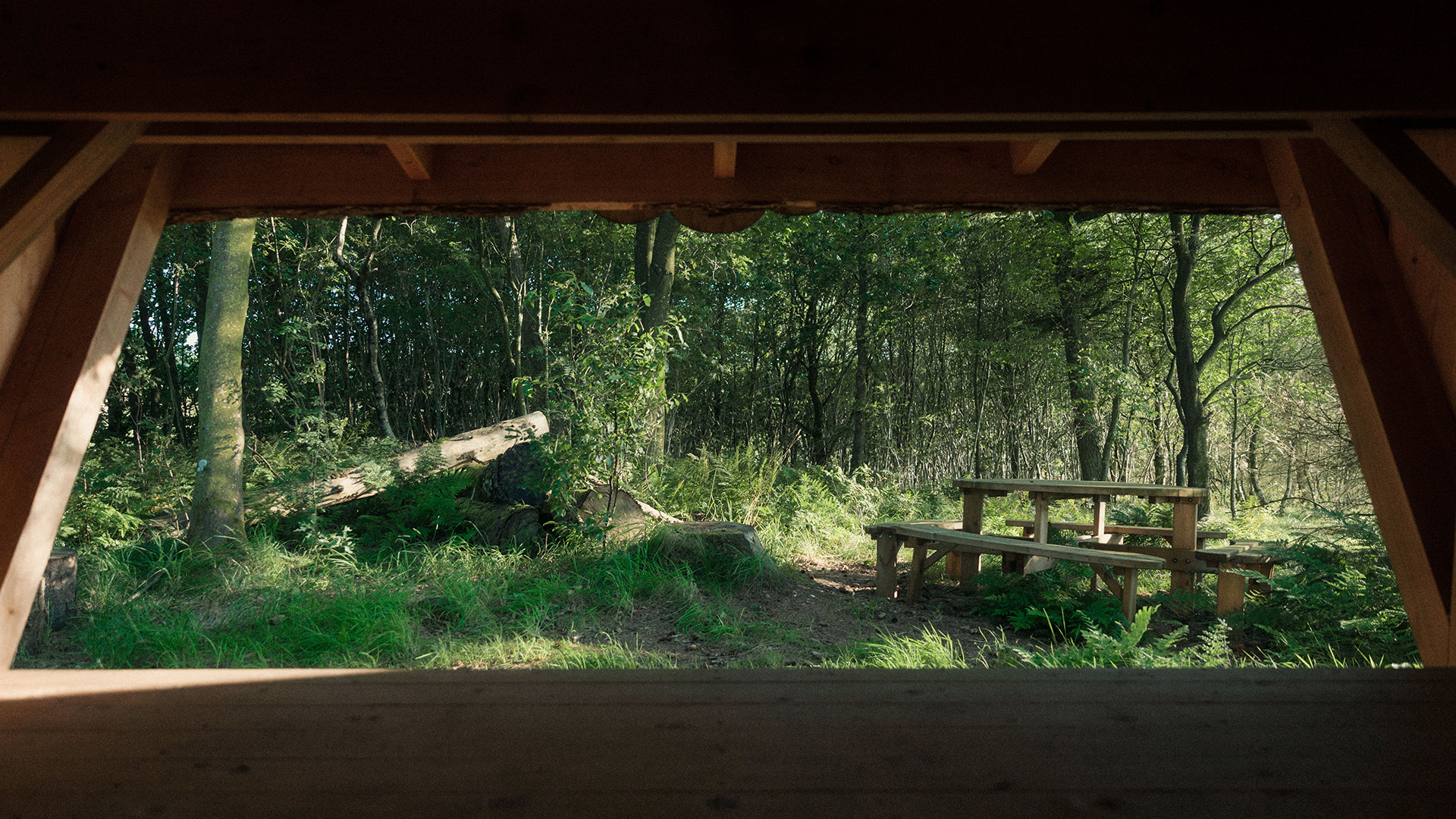 Udsigt fra shelteret på Klink