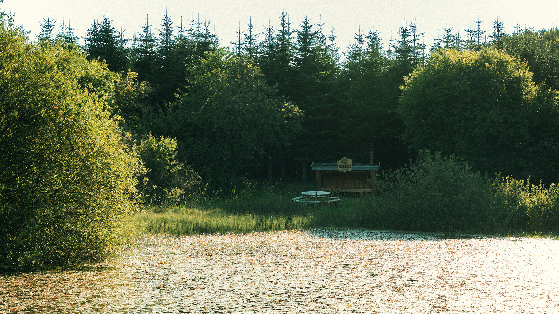 Shelteret på Hovergaarde