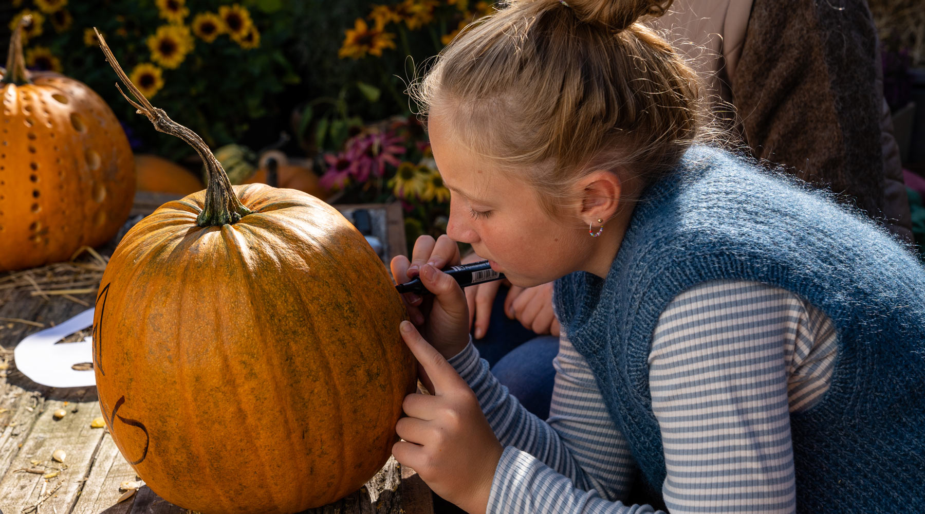 Skarbeloner til græskarudhuling | Arla® Madløjer