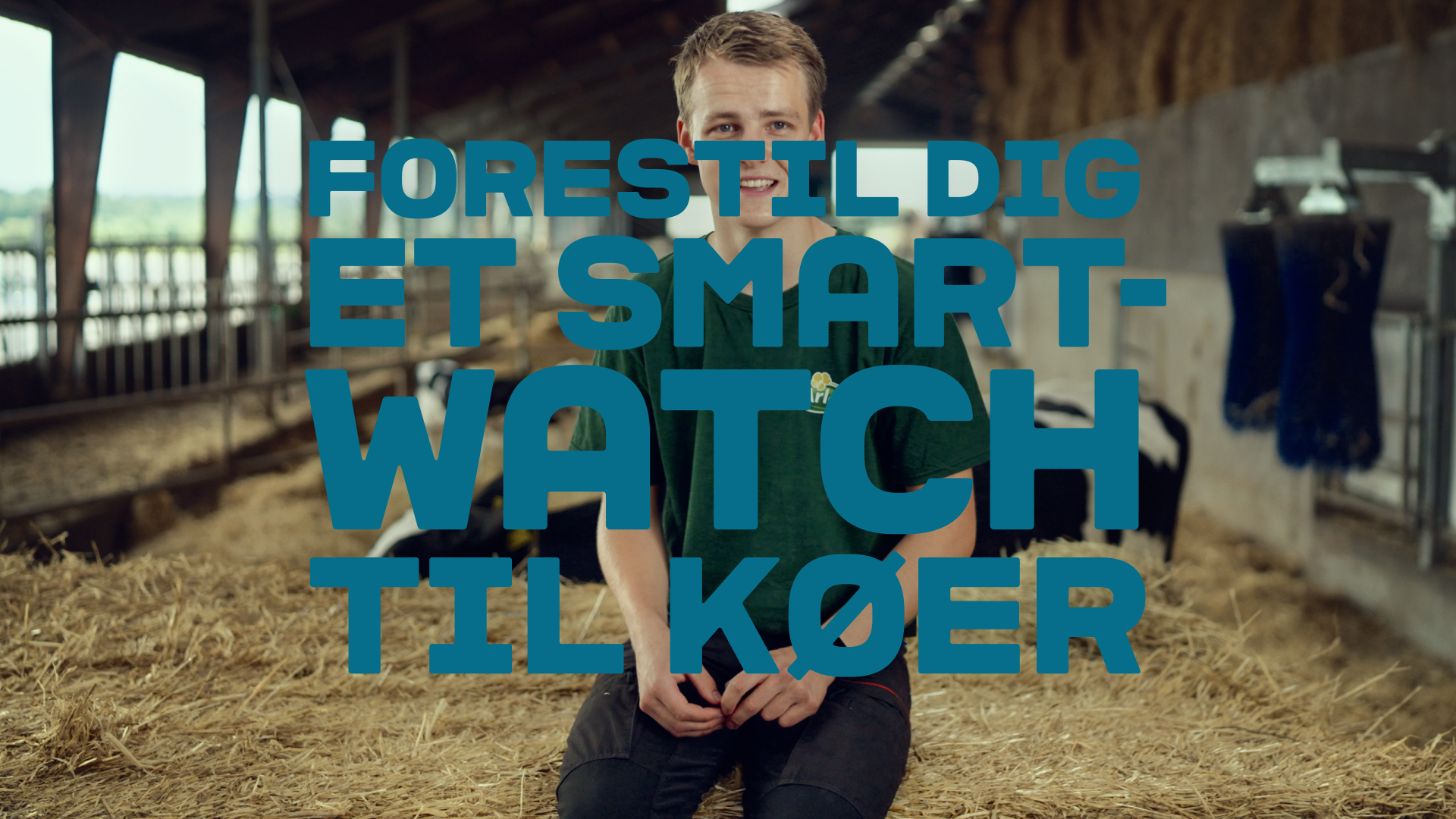 Forestil dig et Smartwatch, bare til køer