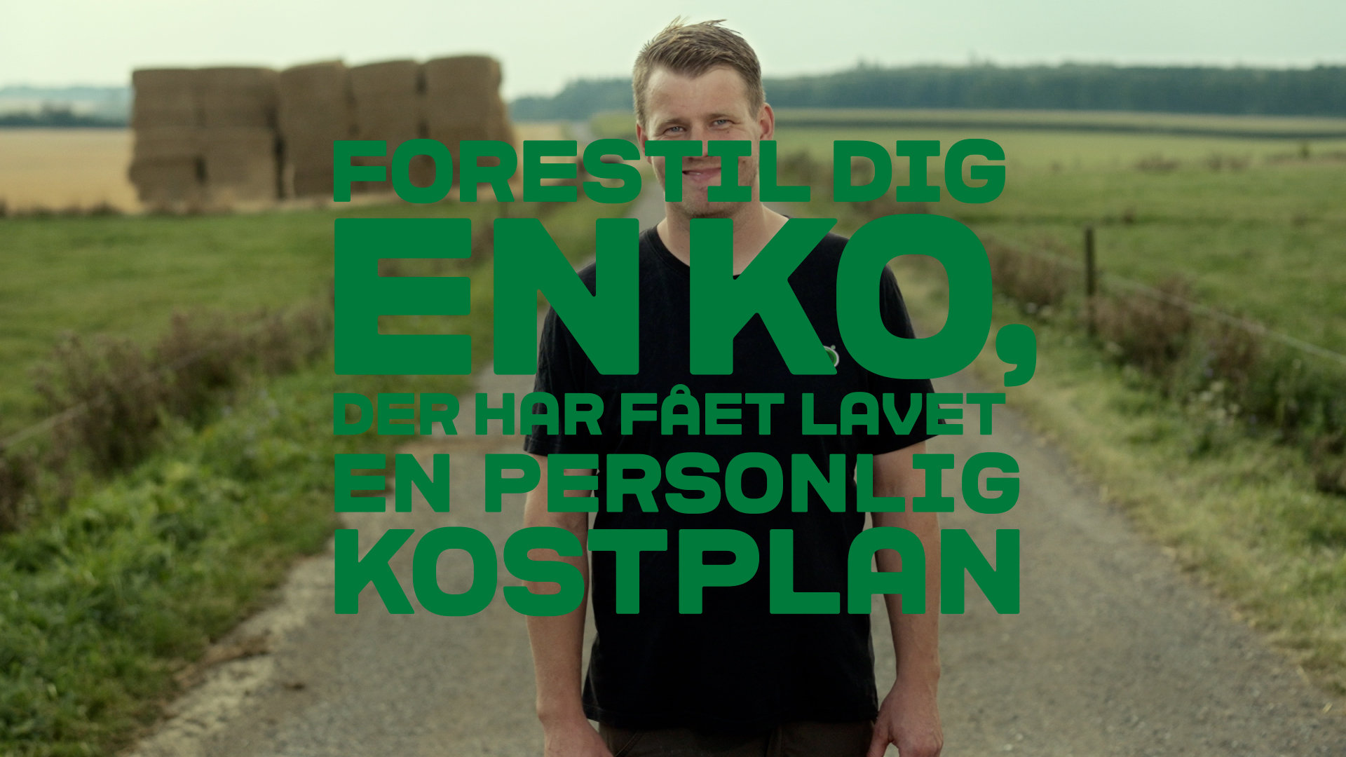 Forestil dig en ko med en personlig kostplan