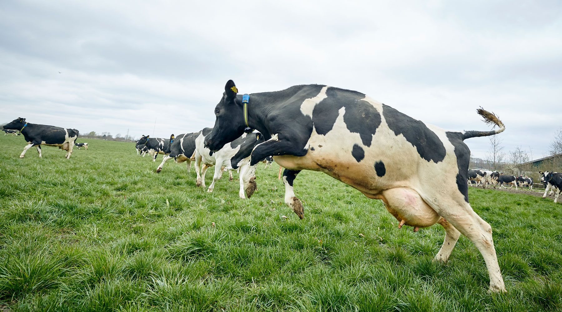 Hvor afholdes Økodag?